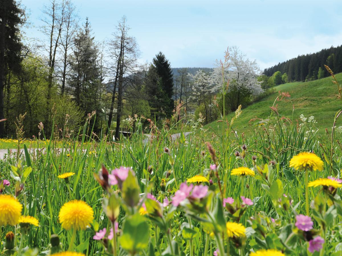 Hotel Waldlust Baiersbronn Buitenkant foto