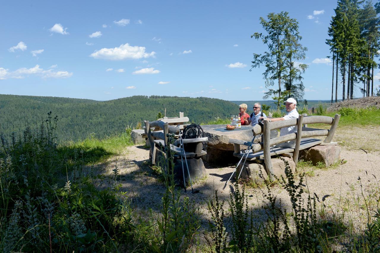 Hotel Waldlust Baiersbronn Buitenkant foto