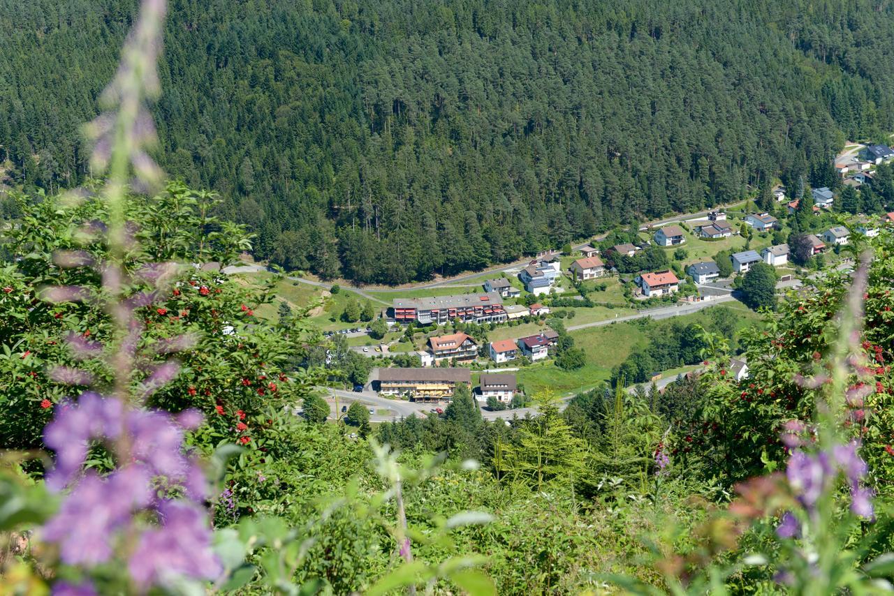 Hotel Waldlust Baiersbronn Buitenkant foto